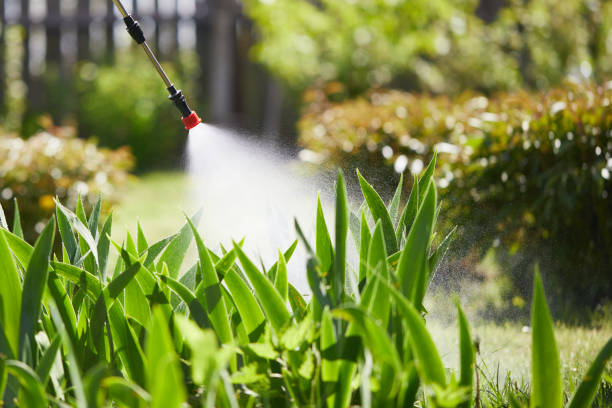 24/7 Emergency Mosquito Control experts in Plymouth, CA